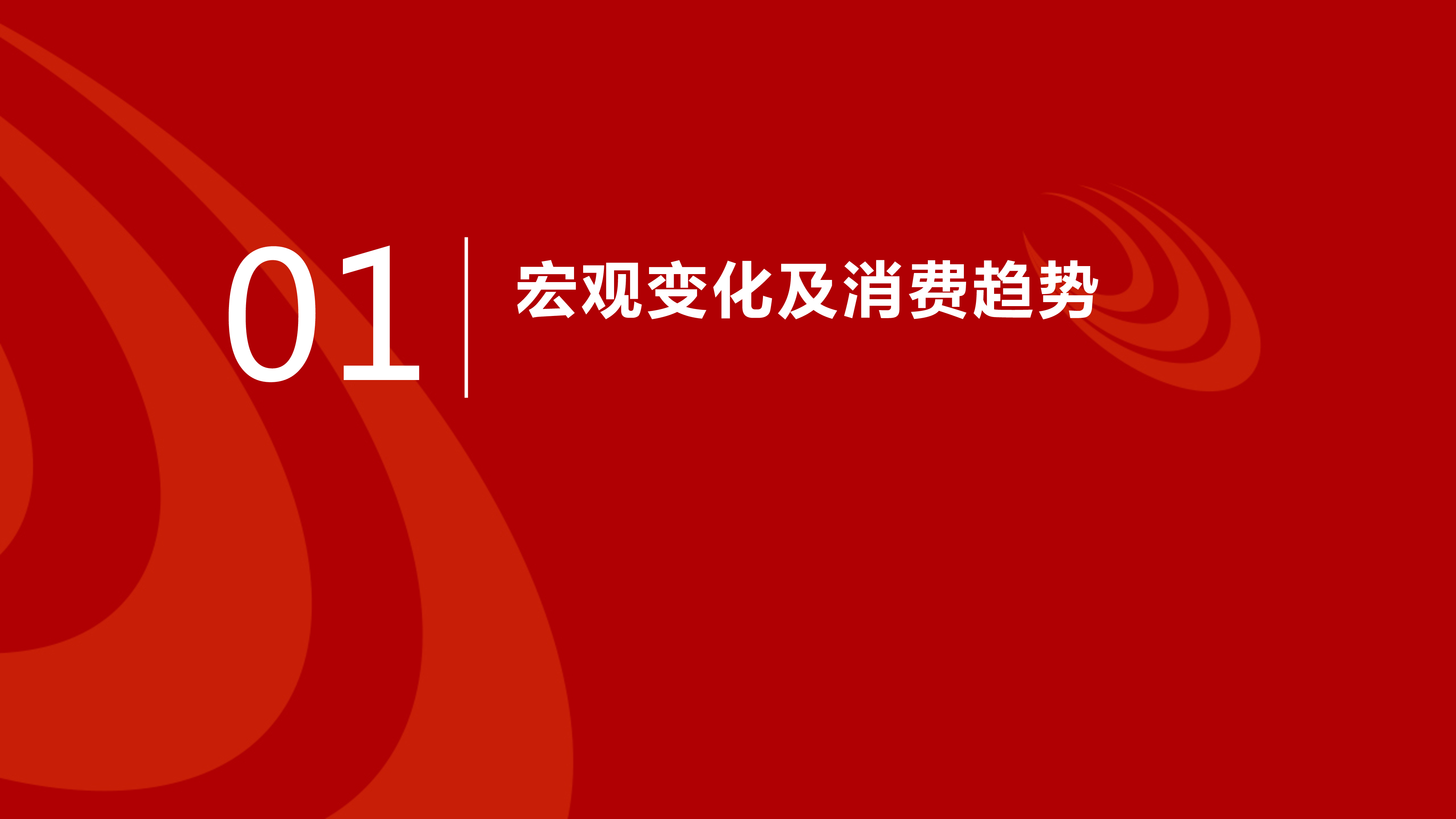 凤翔传说2024大健康新风口把握银发经济浪潮洞察营销新趋势119页